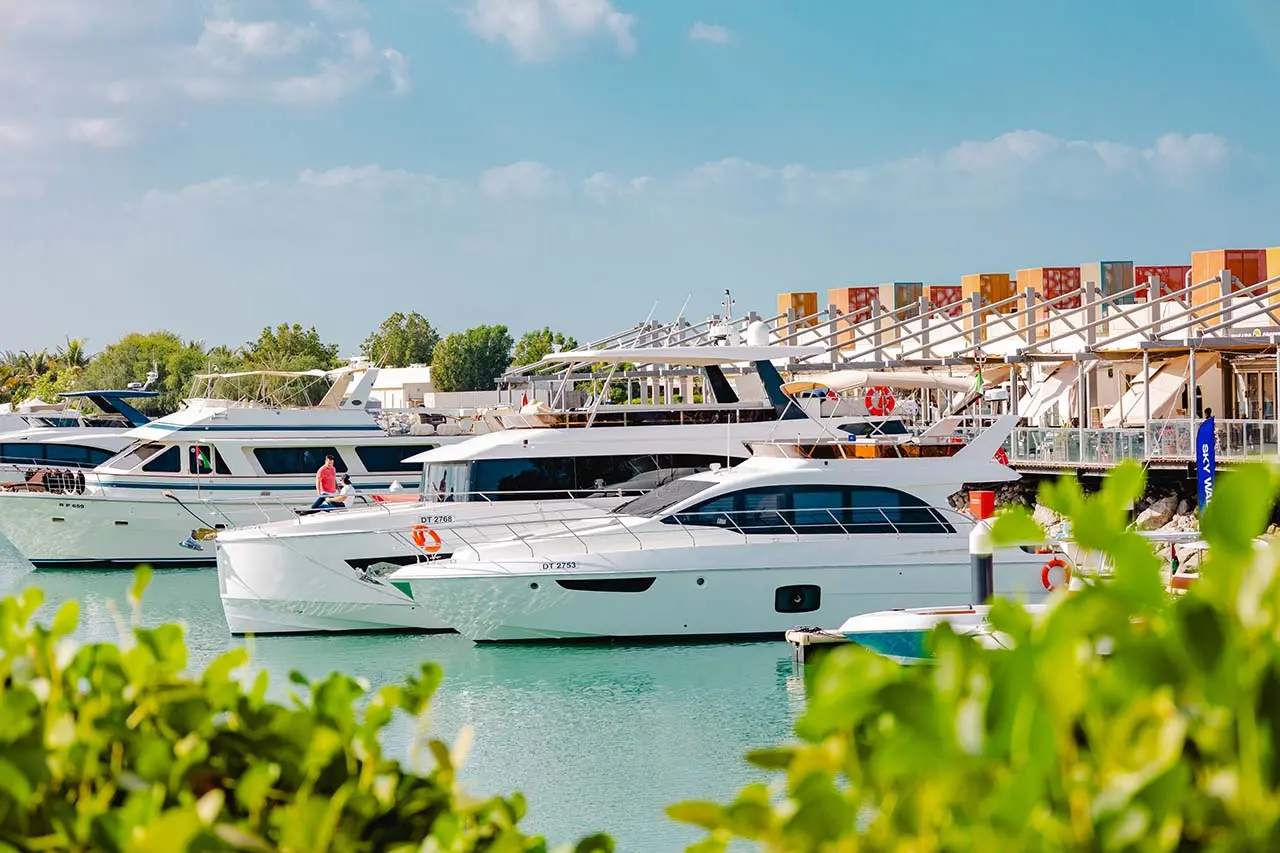 Yachts on the water