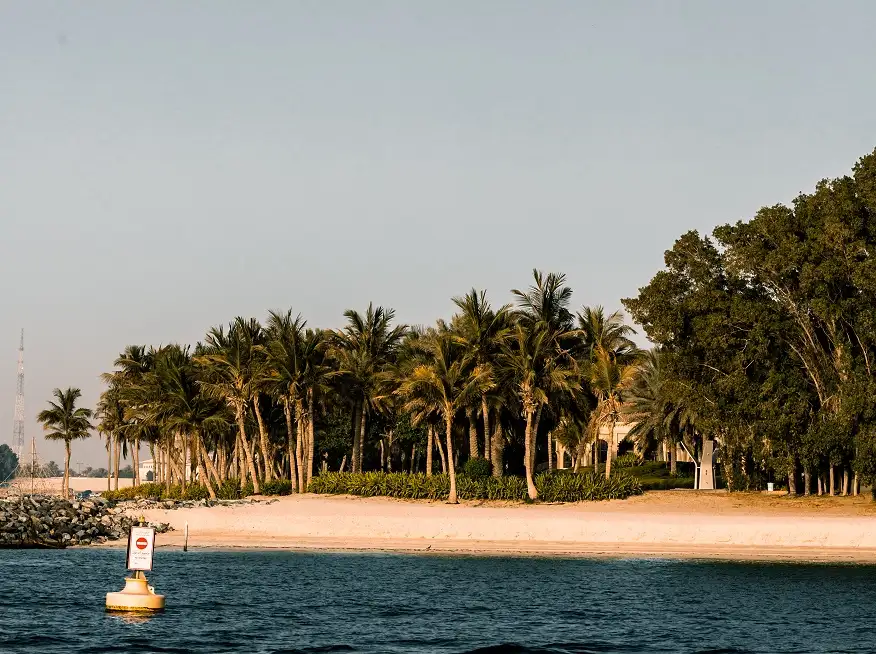 Moon Island Trip