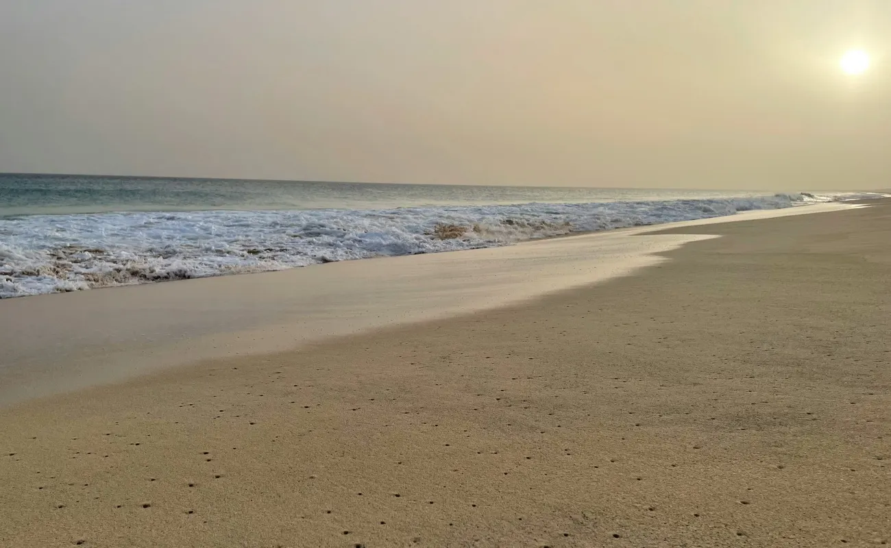 Visit Al Sufouh Beach and enjoy the tranquility.