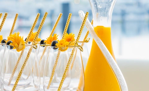 Dubai cruise with food and drinks