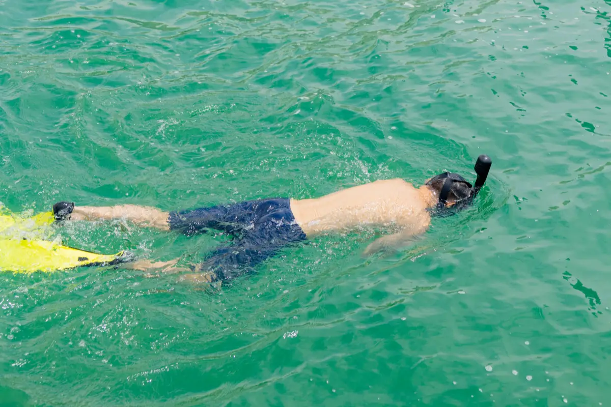 Snorkeling Dubai